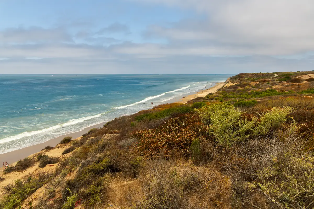 Bluff-top coastal scrub above the shoreline at Crystal Cove, below Newport Coast in Newport Beach CA